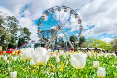 Floriade
