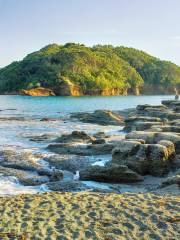 Te Hāwere-a-Maki / Goat Island