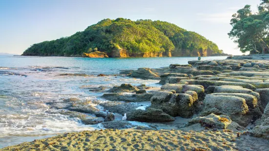 Te Hāwere-a-Maki / Goat Island