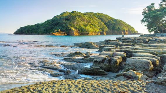 山羊島