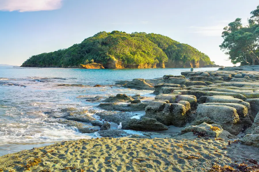 Te Hāwere-a-Maki / Goat Island