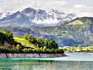 瑞士阿爾卑斯山脈