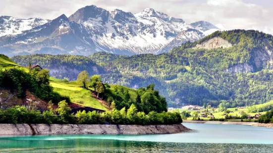 Swiss Alps