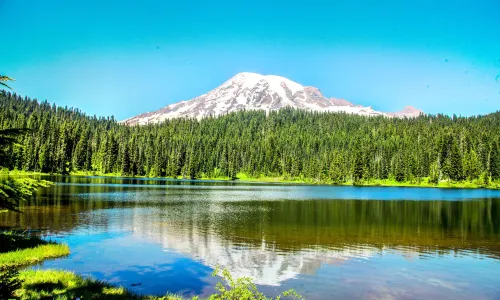 Mount Rainier National Park