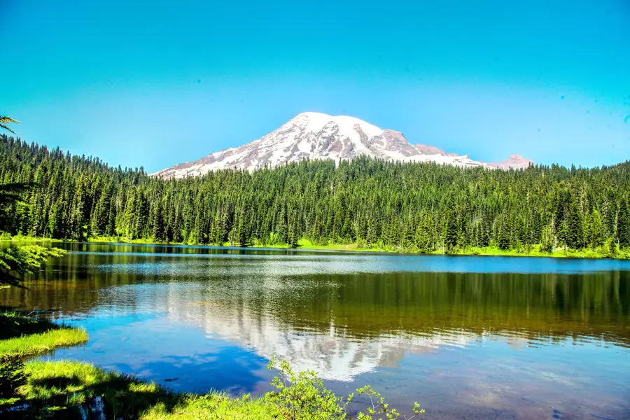 Mount Rainier National Park