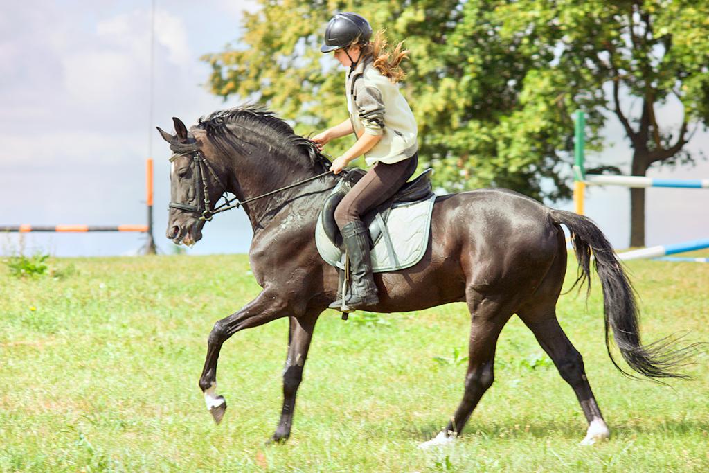 La Cerise Sur Le Gateau Reviews Food Drinks In Saint Aigulin Trip Com
