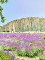 Mashan Hoodoos