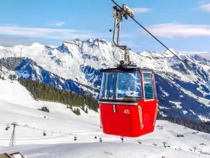 Joyful Snow World