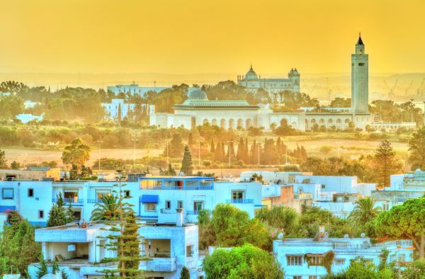 Newcastle to Tunis flight