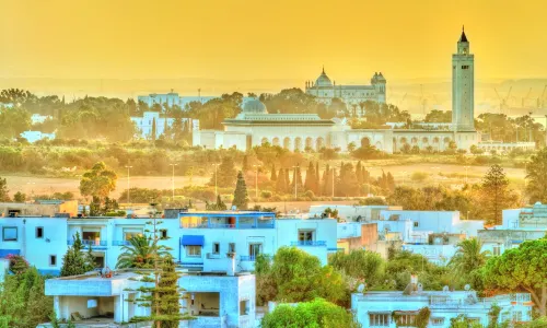 Medina of Tunis