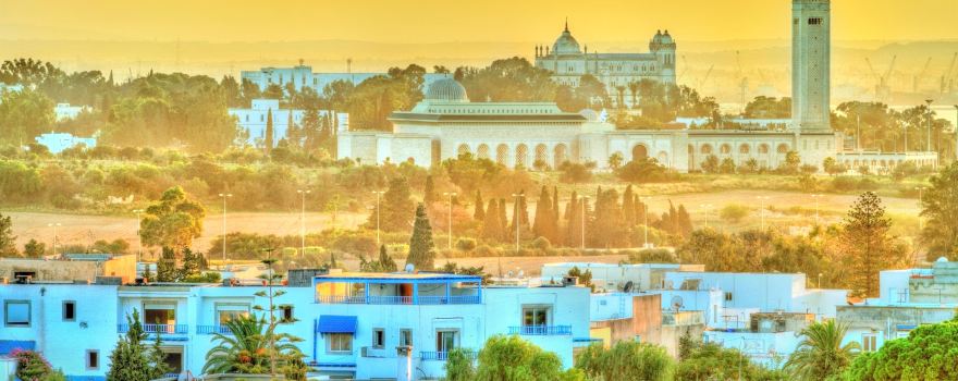 Medina of Tunis