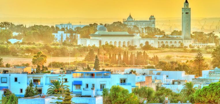 10061f000001gqwafB6D8_D_1180_5