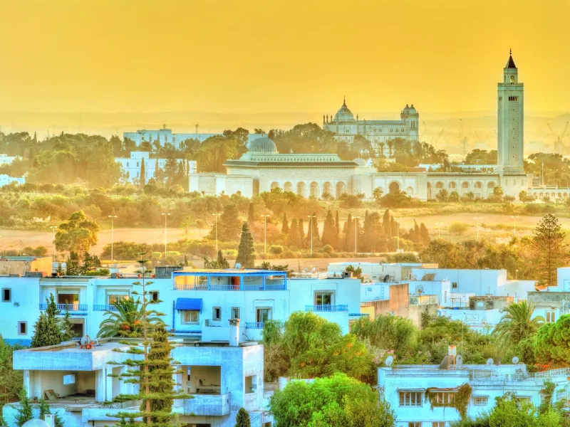 Medina de Tunis