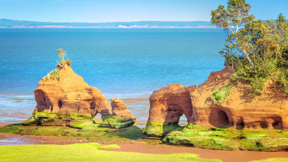 Залив Фунди