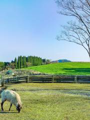 Takachiho Farm