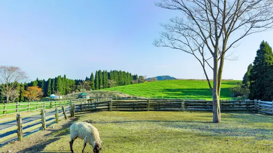 Takachiho Farm