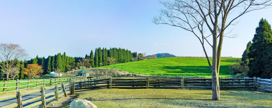 Takachiho Farm