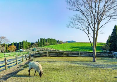 Takachiho Farm