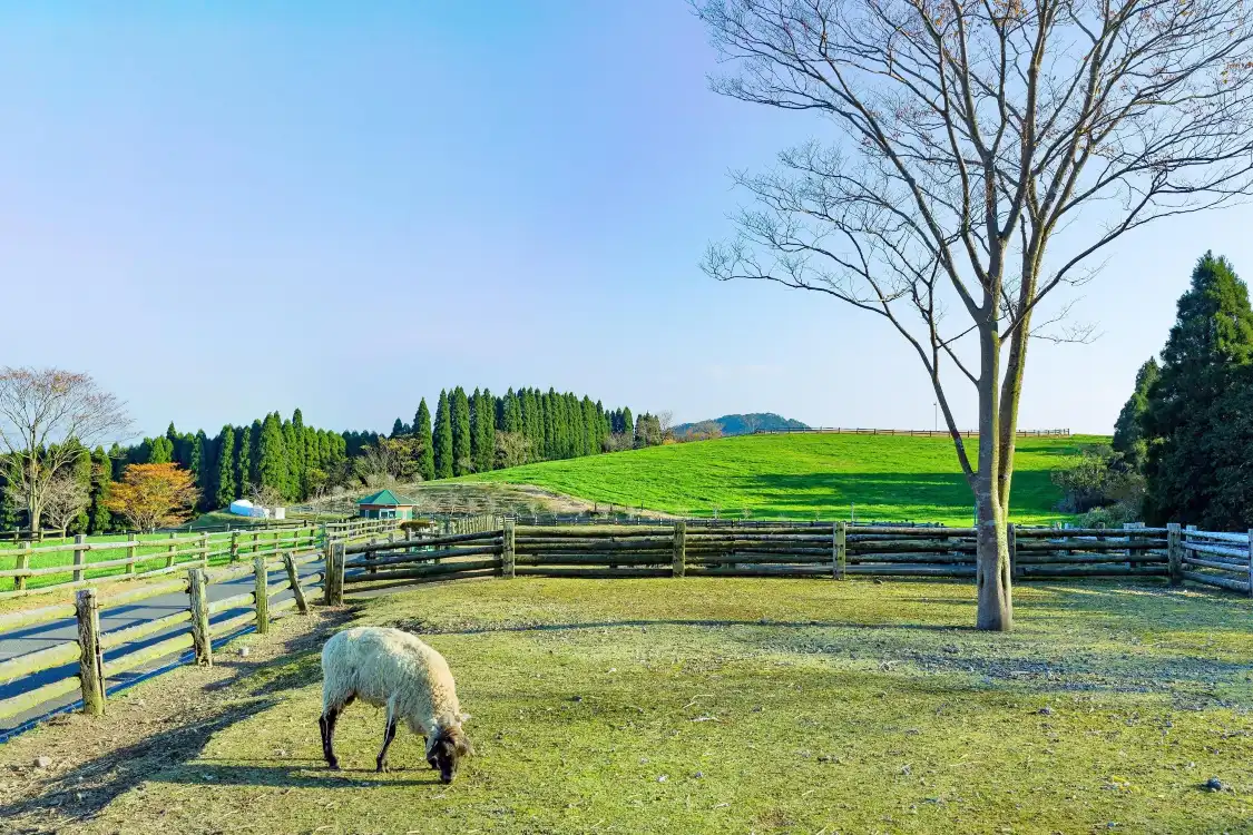 Hotels near Takachiho Farm