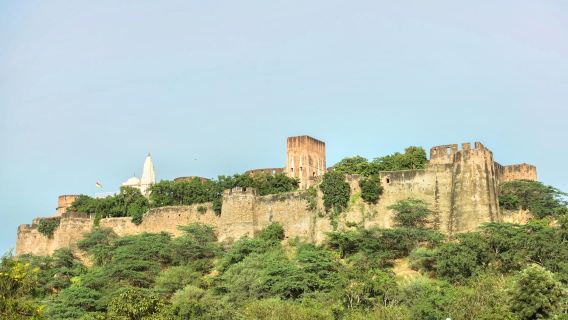 Ranthambore Fort