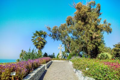Batumi Botanical Garden