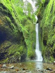 Oneonta Gorge