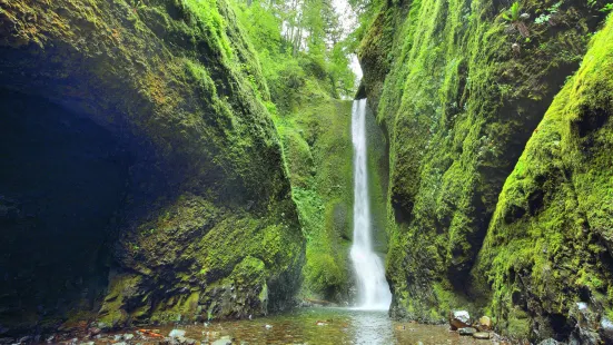 Oneonta Gorge