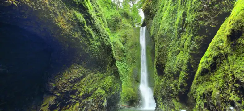 Comfort Suites properties in Multnomah County