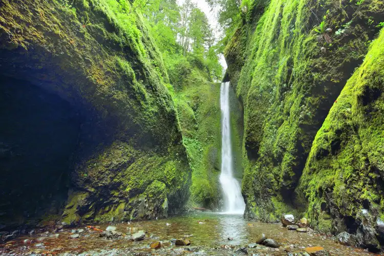 Hotel a Multnomah County