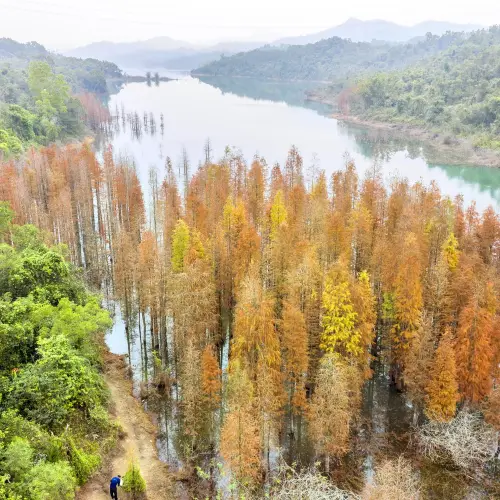 Wugui Mountain
