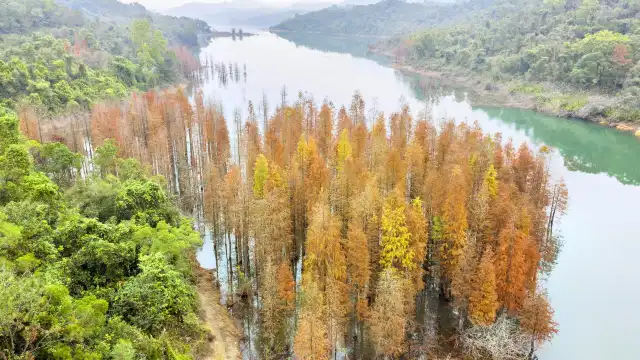 五桂山