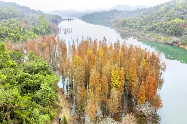 小県の中山道　和田宿本陣周辺のホテル