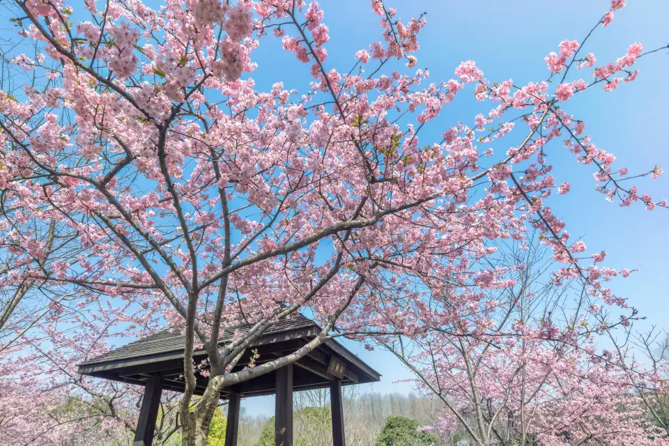 3_Gucun Park