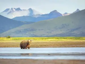 Katmai National Park and Preserve