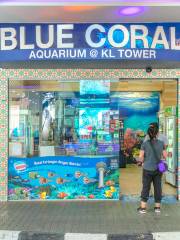 Blue Coral Aquarium KL Tower