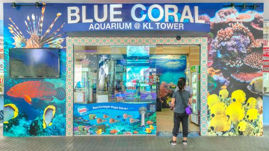 Blue Coral Aquarium KL Tower