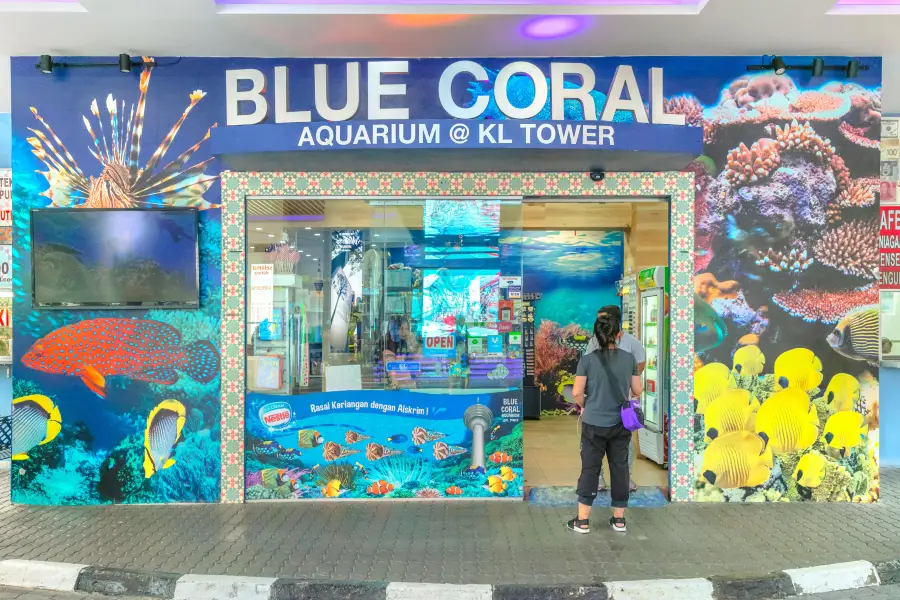 藍珊瑚水族館