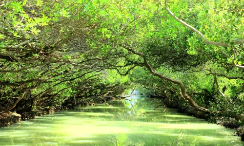 Sicao Wetland Reserve
