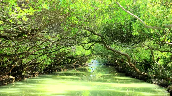 Sicao Wetland Reserve