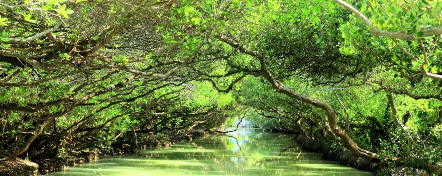 Sicao Wetland Reserve