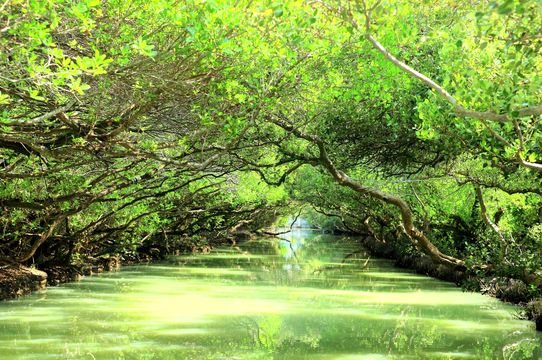 Sicao Wildlife Refuge