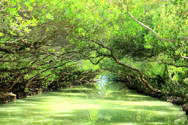Sicao Wetland Reserve