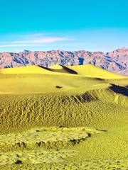 Deserto del Mojave