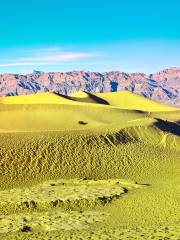 モハーベ砂漠