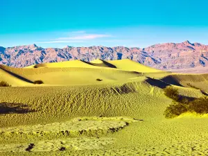 Deserto del Mojave