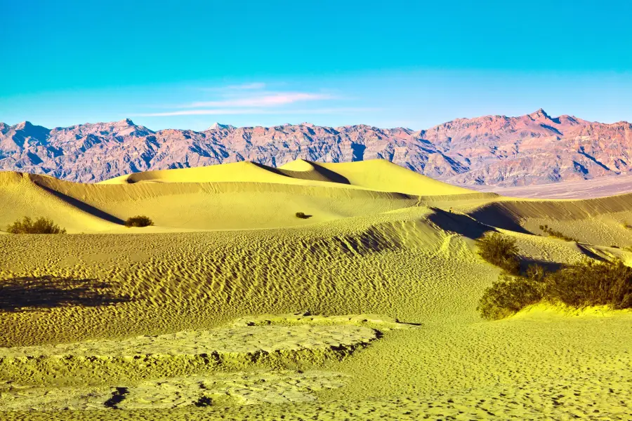 Deserto del Mojave