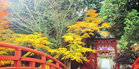 丹生都比賣神社