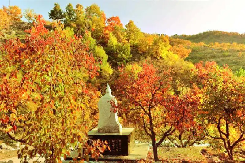 Hotels near Fenghuangling