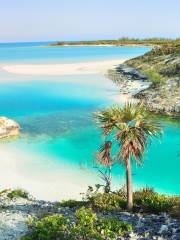 Exuma Cays Land and Sea Park