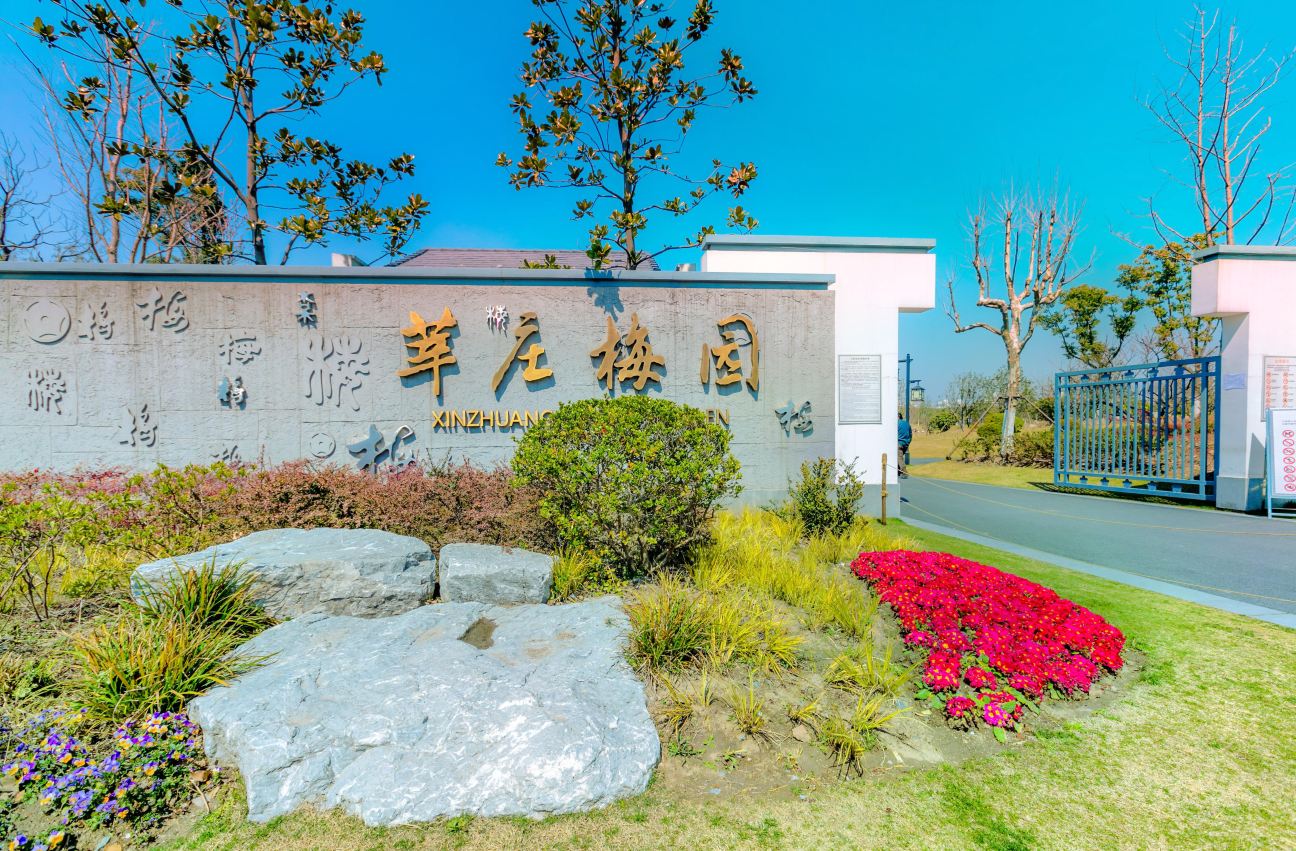 Xinzhuang Plum Garden Hydrangeas– Shanghai's Secret Hydrangea